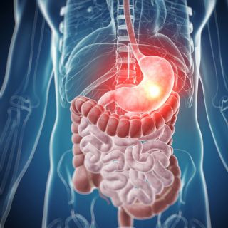 Desintoxicación y Limpieza del Cuerpo